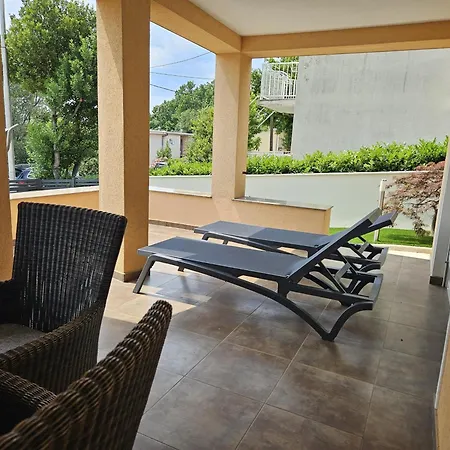 Gordana سيلتسي